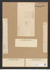 Nitzschia spectabilis (Ehr.) Ralfs. (de-Toni-Nr.: Genus 47, Species 2110) Zeichnungen Sammlung Grunow Nr. 4215 (NHMW-BOT-W0372146)